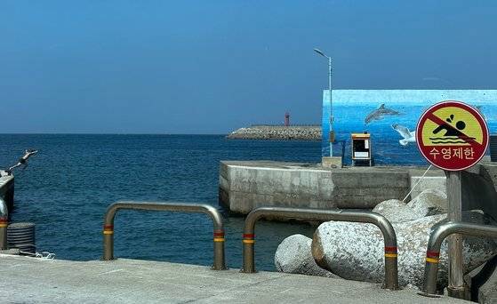지난 19일 오후 3시 제주시 이호동 동포구에서 20대로 보이는 청년들이 제9호 태풍 종다리가 북상한다는 소식에도 개의치 않고 포구 다이빙을 촬영하고 있다. 이 포구 곳곳에는 수영제한 표지판이 걸려있다. 최충일 기자
