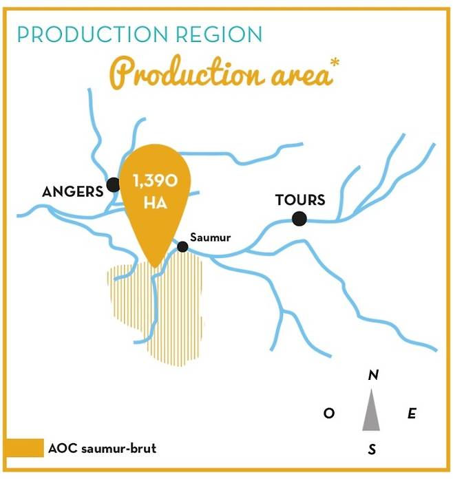 소뮈르 위치와 포도밭 면적.&nbsp; 부베 라뒤베