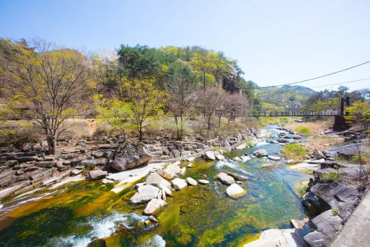 단양선암계곡 전경. 사진=단양군 제공