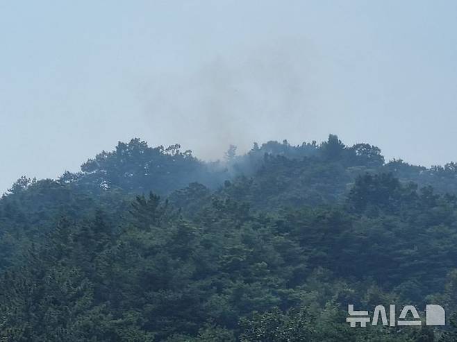 [의성=뉴시스] 25일 오후 1시27분께 의성군 비안면 산제리의 한 야산 정상 부근에서 산불이 발생했다. (사진=경북소방본부 제공) 2024.08.25. photo@newsis.com