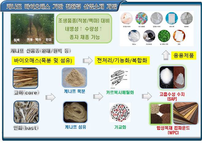 케나프는 섬유로 쓰거나 가루로 만든뒤 가공해 나무용 데크, 계란판, 아기용 기저귀 등 다양한 용도로 쓸 수 있다.(자료=한국원자력연구원)