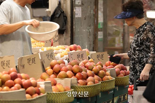 폭염 등으로 인한 출하량 감소로 추석을 앞두고 물가가 계속 오르고 있는 지난 25일 서울 동대문구 경동시장에서 시민들이 장을 보고 있다. 한수빈 기자