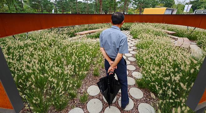 26일 오후 서울 광진구 뚝섬한강공원에서 열린 2024 대한민국정원산업 박람회에 수크령이 피어있다. 연합뉴스