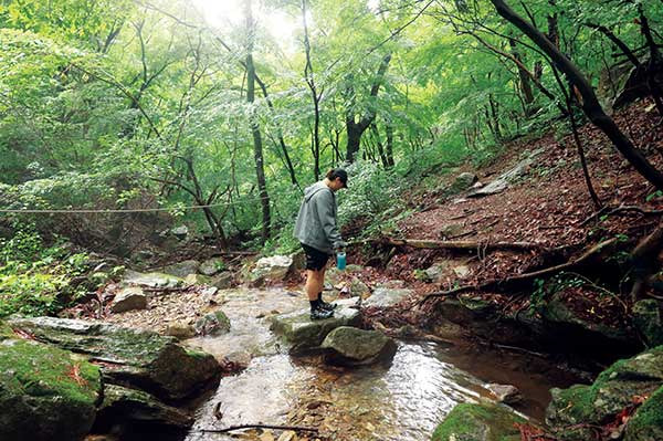 하산길에 계곡물을 두 번 정도 건넌다. 안전 로프가 설치되어 있어 안전히 건널 수 있었다.