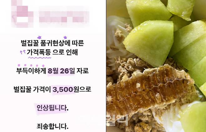 지난 26일 한 요거트 아이스크림 브랜드 SNS 계정에 올라온 벌집꿀 품귀 현상 공지(왼쪽)와 벌집꿀 아이스크림. (사진=독자 제공)