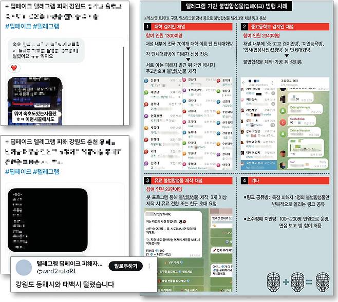 ▲ 최근 10대 여성들의 사진을 합성해 음란물로 만드는 ‘딥페이크’ 범죄가 잇따르고 있는 가운데 강원 지명과 학교가 명시된 대화방도 발견됐다는 확인되지 않는 목격담이 잇따르면서 충격을 주고 있다. 사진은 딥페이크 음란물이 확산된 SNS와 커뮤니티 캡처.