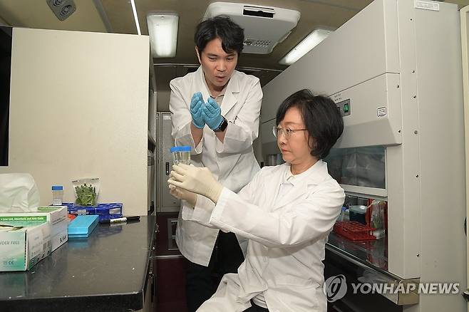 오유경 처장, 식중독 예방을 위한 대전지역 축제 현장 점검 (서울=연합뉴스) 오유경 식품의약품안전처장이 지난 13일 대전 중구에서 열린 '2024 대전 0시 축제' 행사장에서 조리·판매하는 식품의 식중독균 현장검사에 참여하고 있다. 2024.8.14 [식품의약품안전처 제공. 재판매 및 DB 금지] photo@yna.co.kr