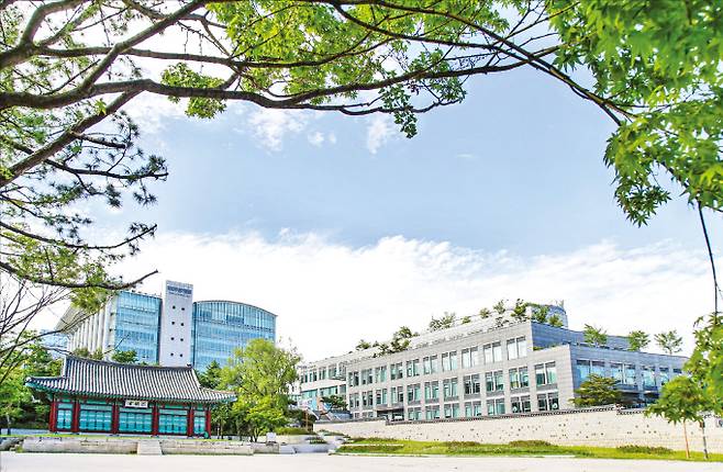 성균관대 캠퍼스 전경.  성균관대 제공