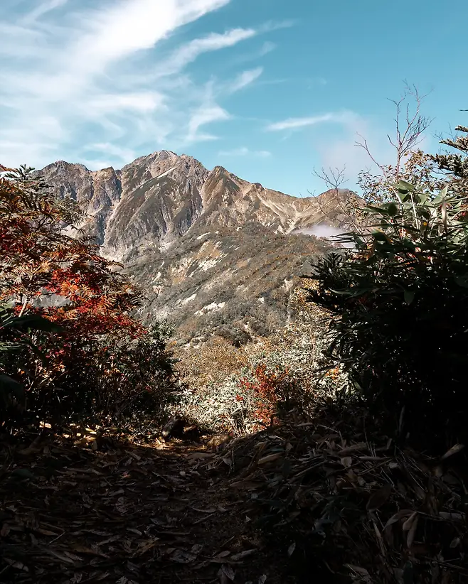 098ef319b58768f520a8d3b706f11a39ee370de3ea8d3746a0