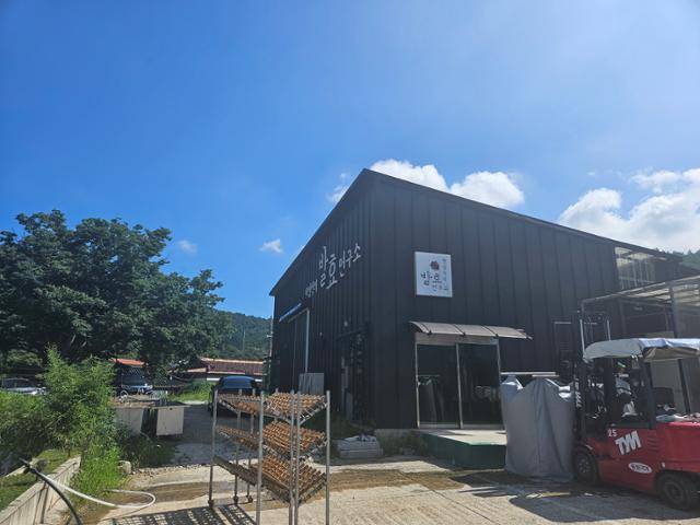 8월 20일 전북 정읍 내장산국립공원 안에 위치한 한영석발효연구소 전경. 경기 수원시 집 근처에 92㎡ 규모 작업실을 얻어 전통 누룩을 연구해오던 한 소장은 2018년 이곳에 연구소를 세웠다. 한 소장은 "내장산의 풍경이나 정취가 너무 좋았다"고 회상했다. 그가 매년 정읍 농가로부터 구매하는 최상급 햅쌀은 50톤(t)에 달한다. 2025년 새 공장이 지어지면 햅쌀 구매량이 연간 150t까지 늘어날 것으로 전망된다. 정읍=박준석 기자