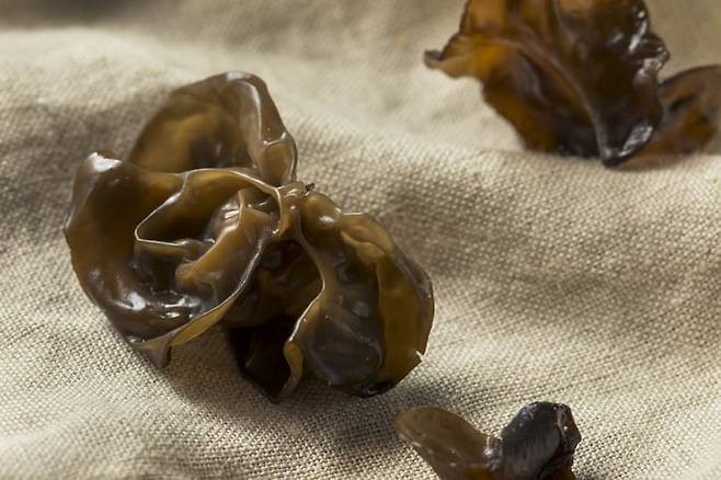 사진=게티이미지뱅크