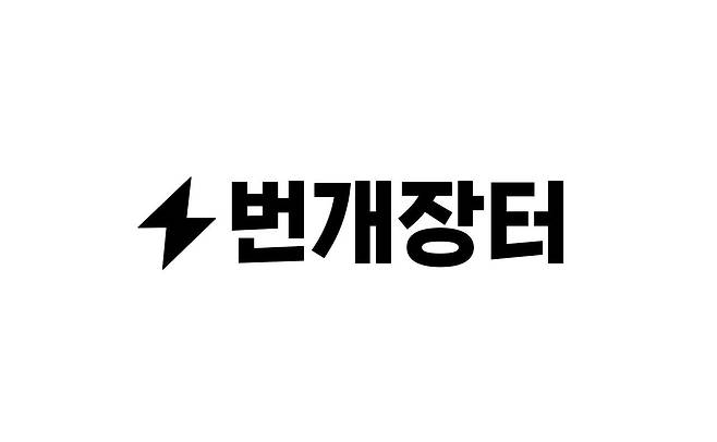 번개장터 로고. /번개장터 제공