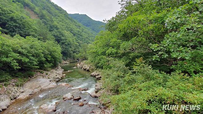 하천은 침식, 운반, 퇴적이라는 세 가지 작용을 끊임없이 반복한다. 침식에 의해서 웅덩이 (pool)가 만들어지고, 침식된 토사는 하류로 운반되어 퇴적된다. 그것이 퇴적된 부분은 여울과 소가 되고, 유속이 증가하면 다시 침식을 시작한다. 오늘날 하천은 우리나라에 성립된 생태계 중 최근 들어 가장 주목받는 생태계이다.