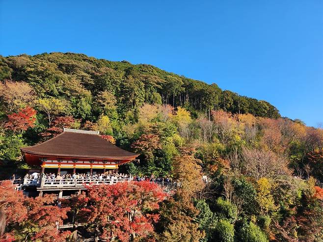 45.jpg 일본 오사카,교토,히메지 풍경 사진