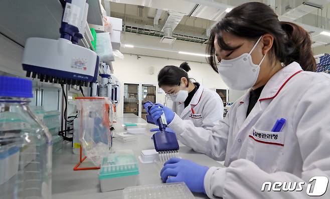 (사진은 기사 내용과 무관함) / 뉴스1 ⓒ News1