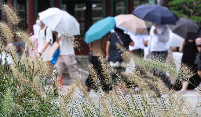 우산을 쓴 시민들이 지나고 있다. (사진은 기사 내용과 무관함) / 뉴스1 ⓒ News1