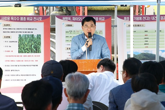 2일 경주시 '사료용 옥수수 품종별 평가 및 기계화 수확 연시회'가 열리고 있다. [사진=경주시청]