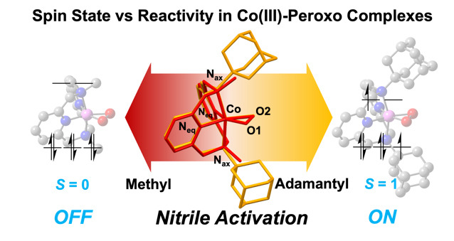 배위자가 다른 코발트-퍼옥소 종의 다른 스핀 상태와 이의 나이트릴 활성 반응. 연구그림=유니스트