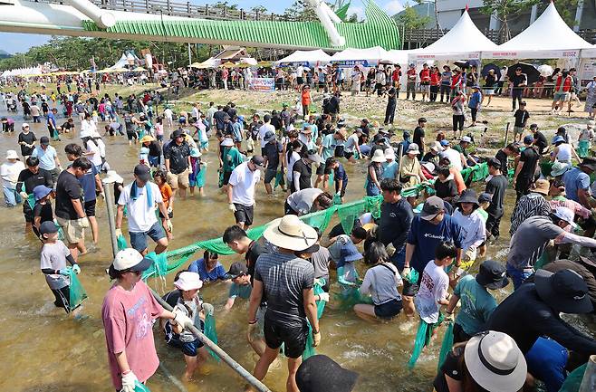 '고추물고기를 잡아라' 행사에 참여한 방문객들이 물고기를 잡고 있다. ⓒ괴산군청