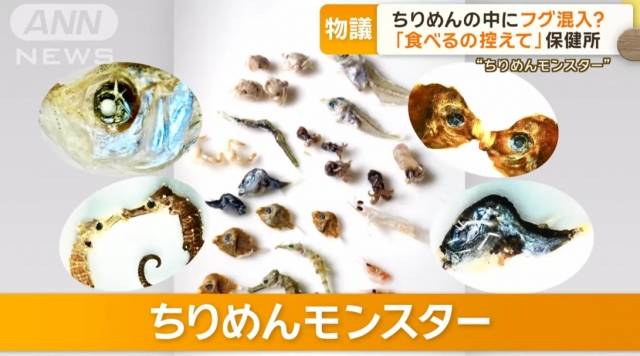 치리멘 패키지 안에서 나온 작은 새우, 문어, 게, 해마, 복어 등을 한데 모아놓은 모습. 아래 일본어 자막은 '치리멘 몬스터'라는 별칭. ANN 방송 캡처