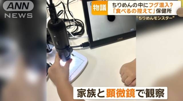 치리멘에서 나온 복어 치어 추정 물질을 현미경으로 관찰하는 모습. ANN 방송 캡처