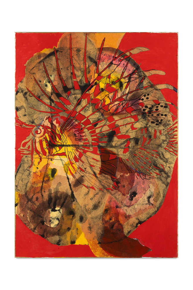 Gabriel Orozco ‘Handsome Lion Fish’(Tempera and watercolour on gold shikishi board, 33 x 24 cm, 2024) 화이트 큐브 서울