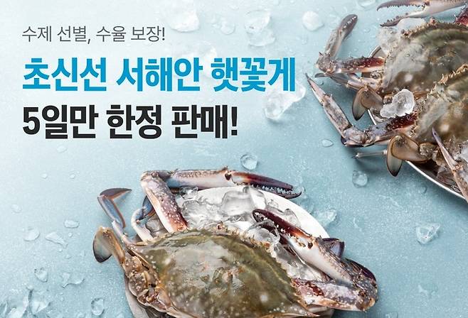 [사진 제공 = 정육각]