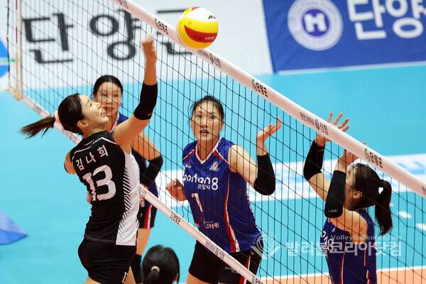 수원특례시 김나희