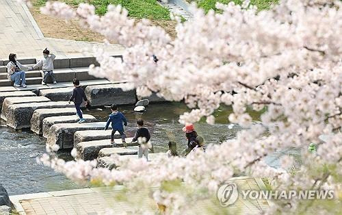 생태체험학습 하는 어린이집 원생들 [연합뉴스 자료사진]