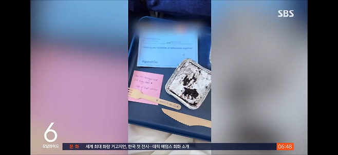"나랑 결혼해 줄래"…기내서 무릎 꿇고 청혼한 여성