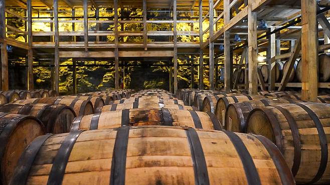 메이커스 마크 증류소 내 석회 저장고 모습. 사계절 내내 평균 10도 정도의 일정한 온도를 유지한다. /메이커스마크