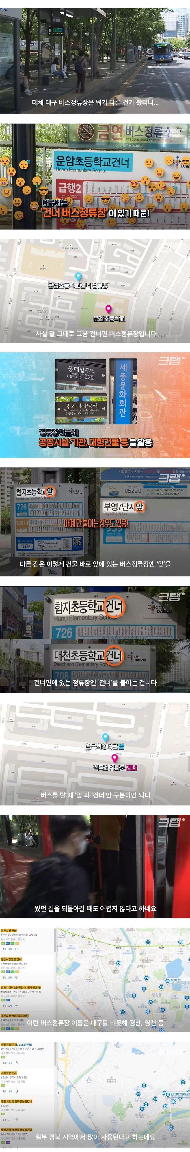 image.png 다른 지역 사람들이 부러워하는 대구 버스정류장…왜? .jpg