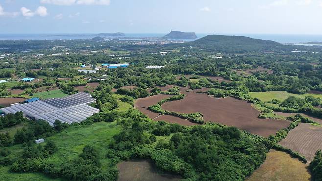 국토교통부는 6일 '제주 제2공항 건설사업 기본계획'을 고시한다고 5일 밝혔다. 사진은 제2공항 예정 부지인 서귀포시 성산읍 일대를 드론 촬영한 모습. /뉴스1