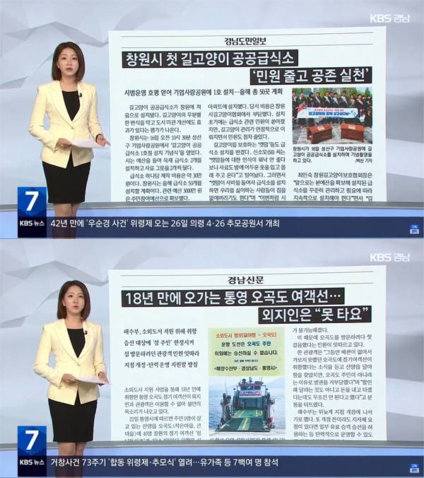 ▲ 4월24일 KBS뉴스 경남 '풀뿌리 언론K “창원시 첫 길고양이 공공급식소 '민원 줄고 공존 실천'”' 보도 갈무리. 사진=KBS뉴스 경남 유튜브