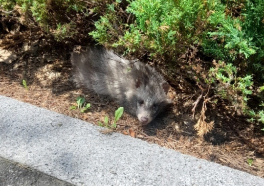 인천시설공단 제공