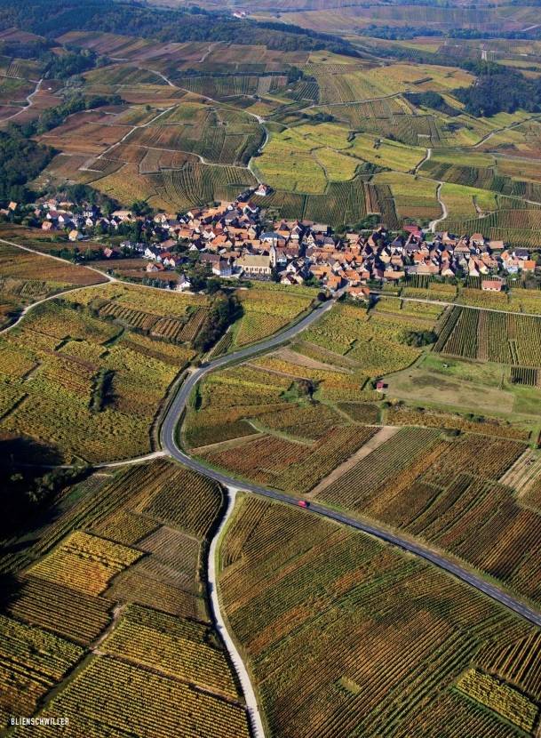 알자스 포도밭. 알자스와인협회