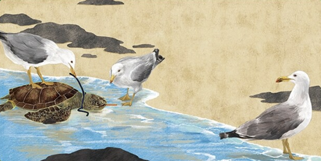 갈매기가 바다거북 목에 감긴 고무를 벗겨주고 있다. 도토리숲 제공