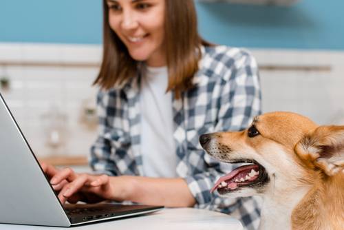 (사진 프리픽freepik)