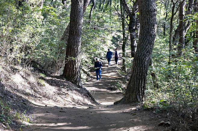 [울산=뉴시스] 박수지 기자 = 울산시 북구 동대산 맨발산책로. (사진=북구 제공) 2024.09.09. photo@newsis.com *재판매 및 DB 금지