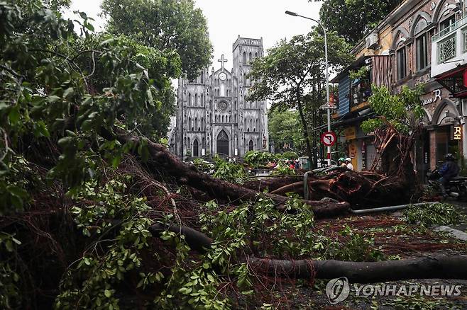 태풍 '야기'로 쓰러진 베트남 하노이의 나무들 (하노이 AFP=연합뉴스) 지난 8일(현지시간) 태풍 '야기'로 인해 베트남 수도 하노이 거리의 나무들이 쓰러진 모습. 2024.09.09