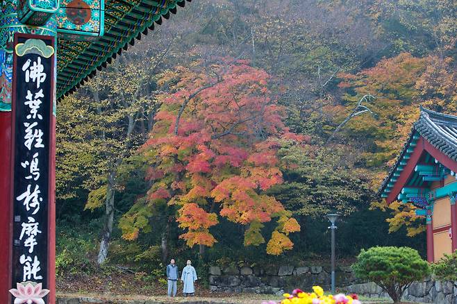 Autumn scenery at Dogapsa in South Jeolla [CULTURAL CORPS OF KOREAN BUDDHISM]