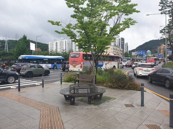 A tree planted on a traffic island in Gwanak District, southern Seoul, in a photo provided by the Seoul city government on Tuesday. [SEOUL METROPOLITAN GOVERNMENT]