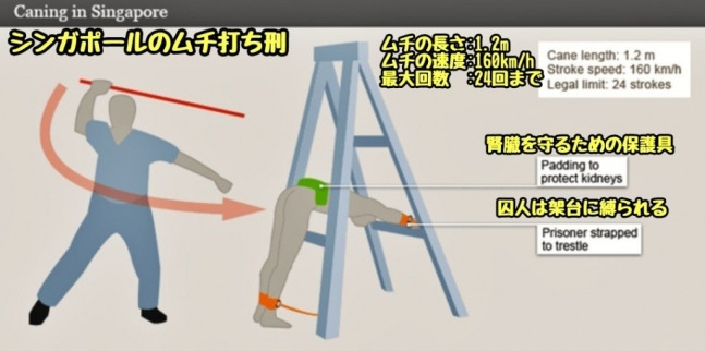 싱가포르 태형 방식을 설명한 사진./사진=엑스
