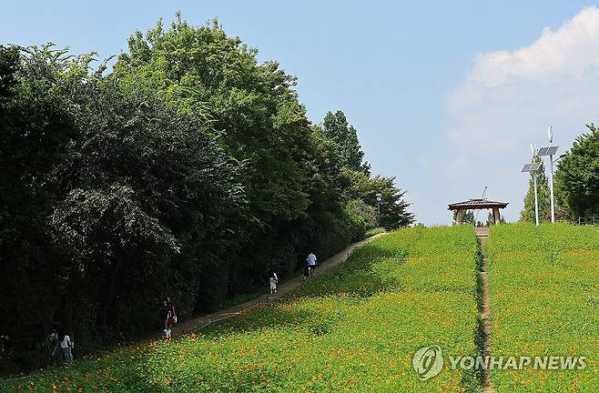 하늘은 가을인데...계속되는 늦더위 (서울=연합뉴스) 한종찬 기자 =늦더위가 이어진 8일 서울 송파구 올림픽공원 들꽃마루를 찾은 시민이 그늘 아래로 산책하고 있다. 2024.9.8 saba@yna.co.kr