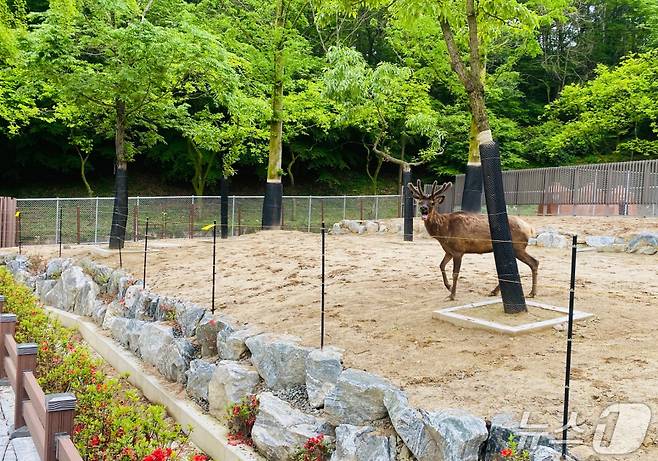 광주 우치동물원 사슴사 전경.(사진은 기사 내용과 무관함)2024.5.3/뉴스1 ⓒ News1 박준배 기자