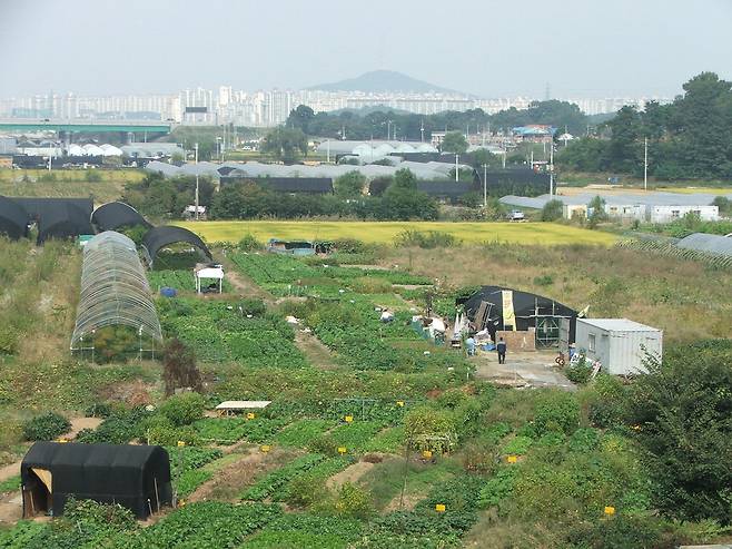 수도권의 한 개발제한구역 전경.  매경DB