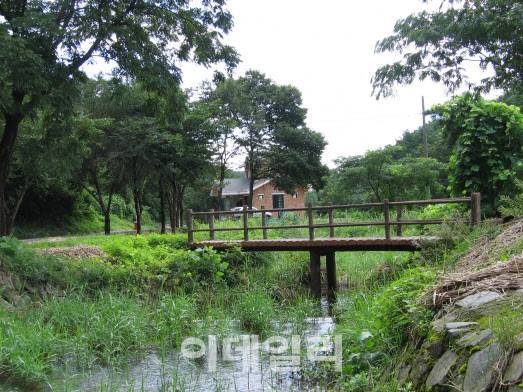 충남 부여 만수산 자연휴양림 인근 계곡. (사진=충남 부여군 제공)