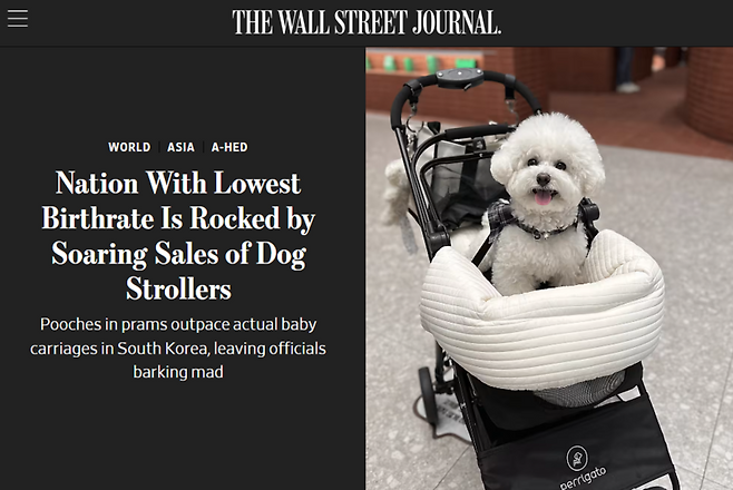 사진 = WSJ 캡처