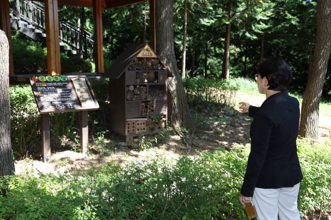 김미경 은평구청장이 편백숲에 있는 곤충호텔에 대해 설명하고 있다. 이 시설은 병·산불·노화 등으로 말라 죽은 나무를 활용해 만든 것이다. 은평구청 제공