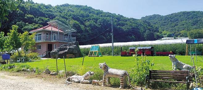 1억원 초반대 가격에 경기도 파주 200평 대지위에 지어진 2층집이 경매로 나와 주목된다. [부동산360 유튜브 갈무리]